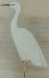 青湖