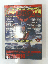 ガンダムエース特別号