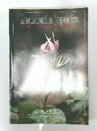 Luehdorfia japonica ギフチョウ　1987年3月号　Vol.11
