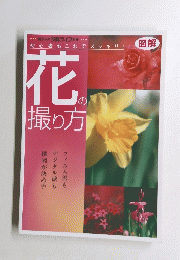 初心者もこれでスッキリ!　　花の撮り方　