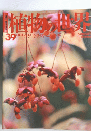 植物の世界　39　ツゲモチノキニシキギ