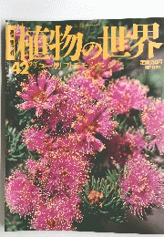植物の世界　42　ユーカリ フトモモシケンジ