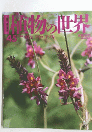 植物の世界　45　ダイズデイコアズキ