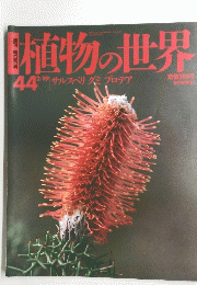 植物の世界 1944年2月19日号 