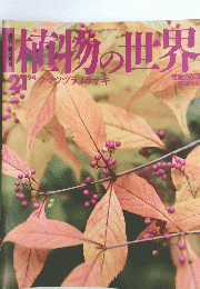 植物の世界　21　9/4　クマツヅラムラサキ