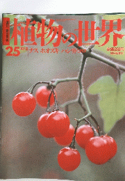
植物の世界 25 10/2 ナス ホオズキ ハシリドコロ 