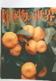 眼物の世界　31　