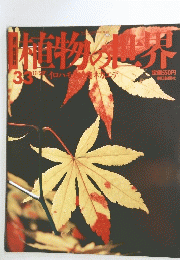植物の世界　33