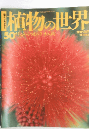 植物の世界　50　ジャケツイバラネムノキ