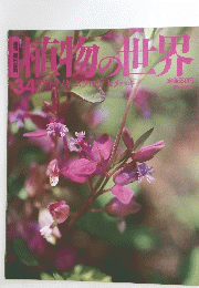 植物の世界　34　12月4日号　トチノキムクロジヒメハギ