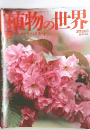 植物の世界　52　4月16日号　サクラバクチノキ