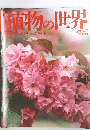 植物の世界　52　4月16日号　サクラバクチノキ