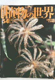 植物の世界　54　4/30