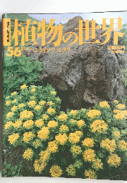 植物の世界　56　5月14日号　ベンンケイソウスグリ