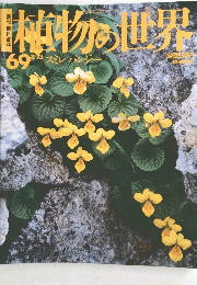 植物の世界　69　8月13日号　スミレパンジー