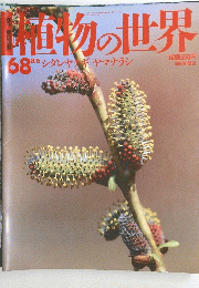 直物の世界　68 8/6　シダレヤナギヤマナラシ