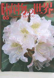 植物の世界 65 シャクナゲヒカケツツジ 