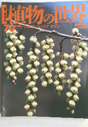 植物の世界 70　8月20日号