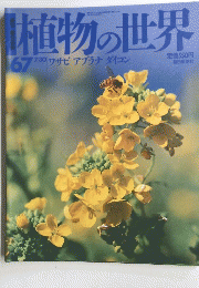 植物の世界 67 7/30 ワサビ アブラナ ダイコン
