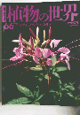 植物の世界 66　7月23日号　フウチョウソウ ハタザオ