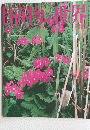 植物の世界　61　6/18