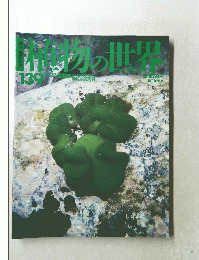 週刊朝日百科　植物の世界　藻類1/緑藻類　139号　12月22日号