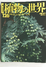 朝日百科　植物の世界　１２６　9月22日号