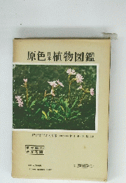 原色日本植物図鑑　草本編 [I] 合弁花類