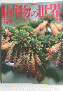 植物の世界　モミツガイチイ　昭和56年3月16日3 