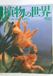 植物の世界111 