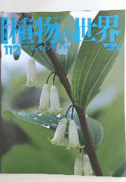 植物の世界　112　6.16　エンレイソウ　オモト