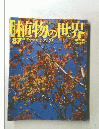 植物の世界　87　12月17日号　ヤマモモクリブナ