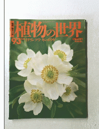 植物の世界　93