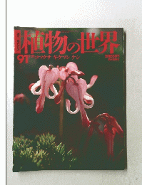 種植物の世界91