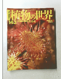 植物の世界　143　1.26　植物の形態2 茎・葉・根