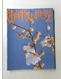植物の世界　99号 1996年3月17日 クスノキ タブノキ ロウバイ