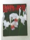 植物の世界　103　
