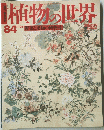 植物の世界　　84　野菜と果物の博物誌
