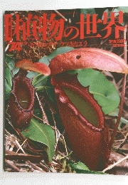 物の世界　７４号　９月１７日号