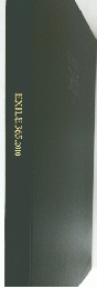 EXILE　365　2010年