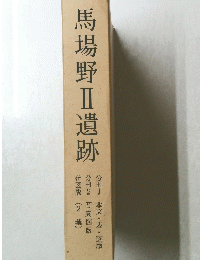 馬場野Ⅱ遺跡