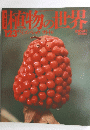 朝日百科　琳植物の世界　１２３