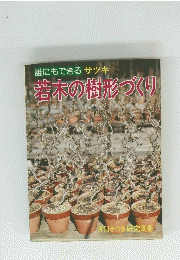 誰にもできるサツキ若木の樹形づくり