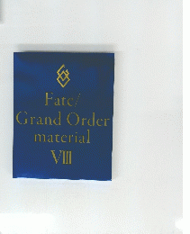 Fate/ Grand Order material VIII