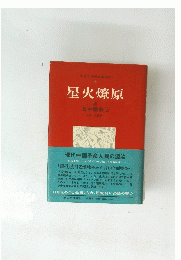 星火燎原 4 日中戦争(上)　