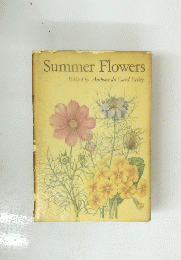 Summer Flowers