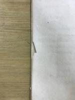 えっくす・わい