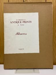 A Collection of ANTIQUE PRINTS in Europe Flowers