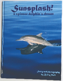 Sunsplash　a spinner dolphin's dream