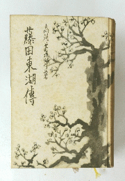 藤田東湖傳　
